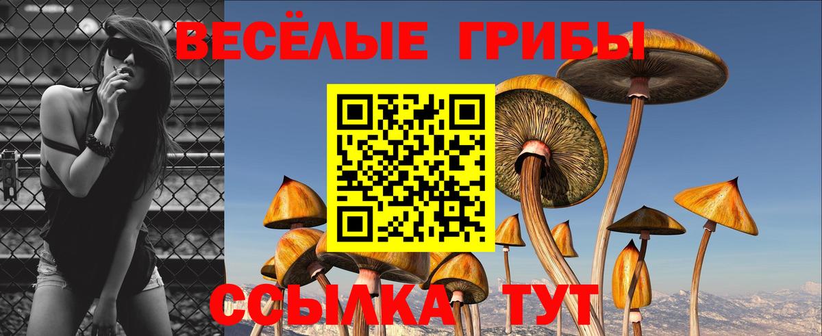 Златоуст  Галлюциногенные грибы Psilocybine cubensis  Вход с VPN 