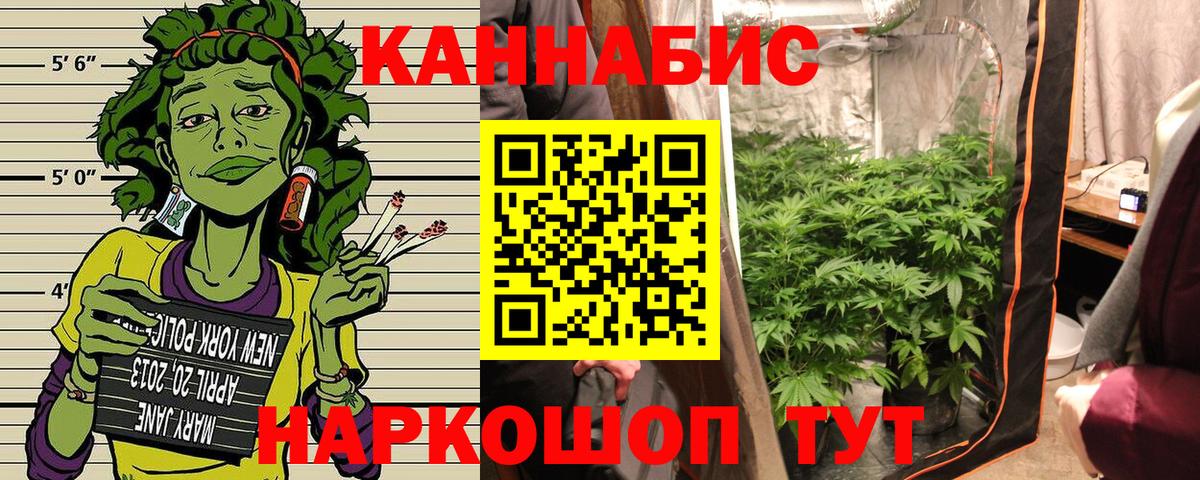 Каннабис MAZAR Златоуст